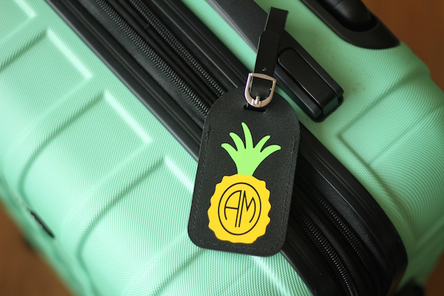 Personalized Luggage Tag | Analisa Murenin for Silhouette