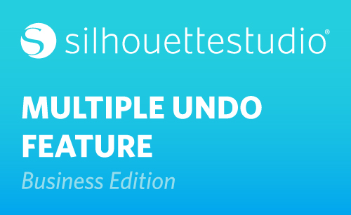 Featured Image for Multiple Undo Feature (Business Edition) (#113095)