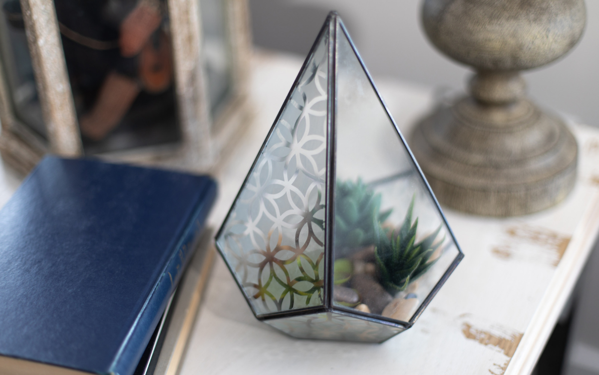 Featured Image for Etched Terrarium (#122855)