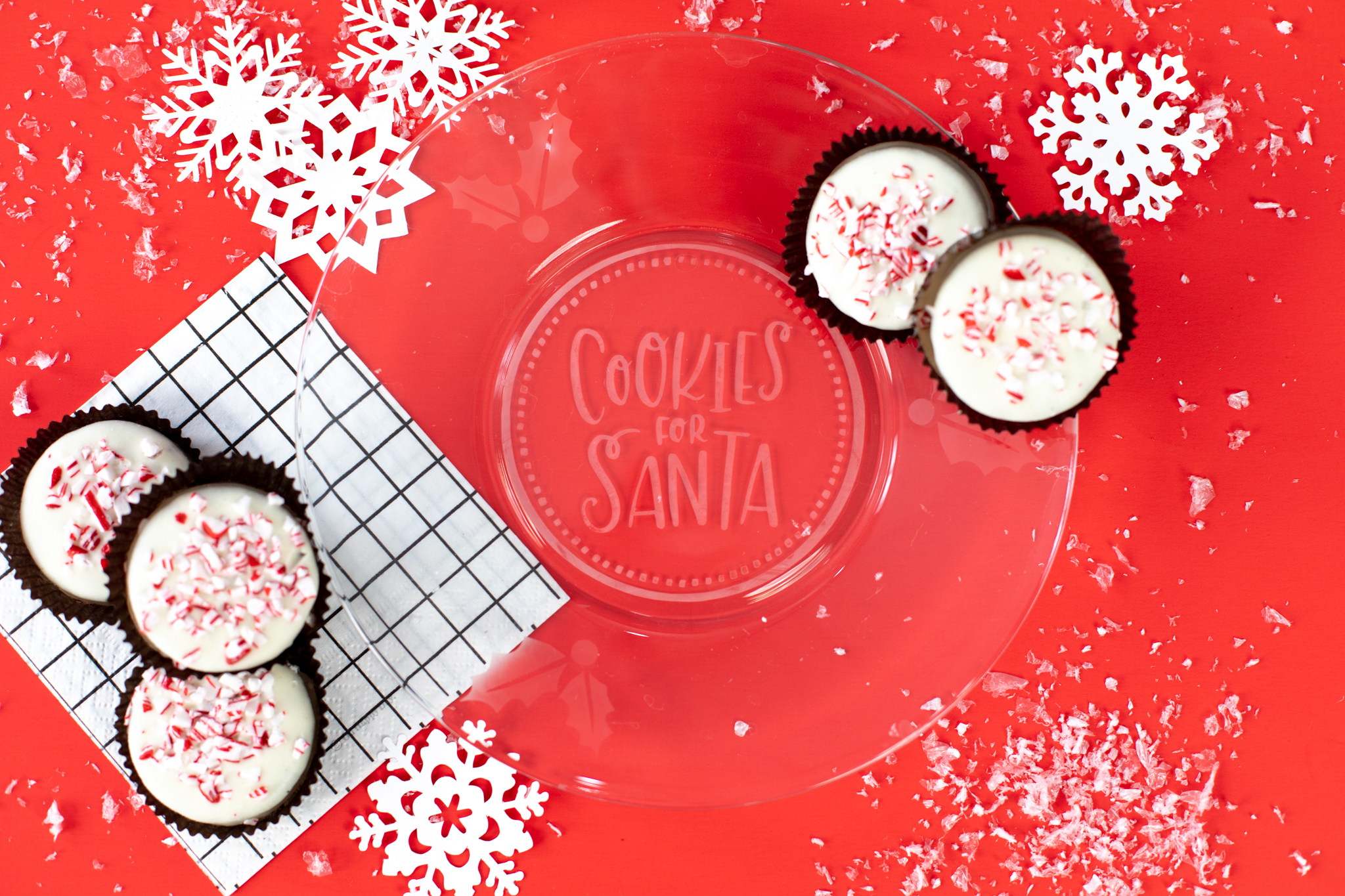 Featured Image for Cookie Plate for Santa (#125929)