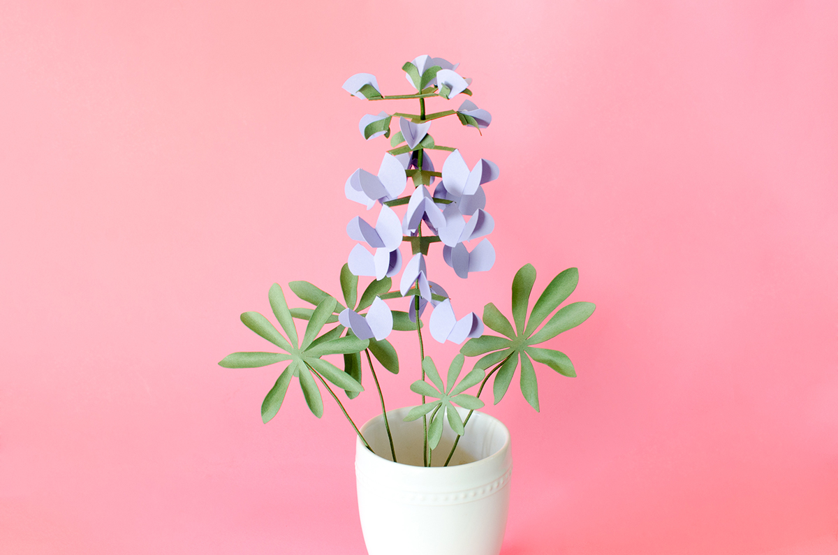 Featured Image for 3D Wild Lupine Paper Flowers (#127327)