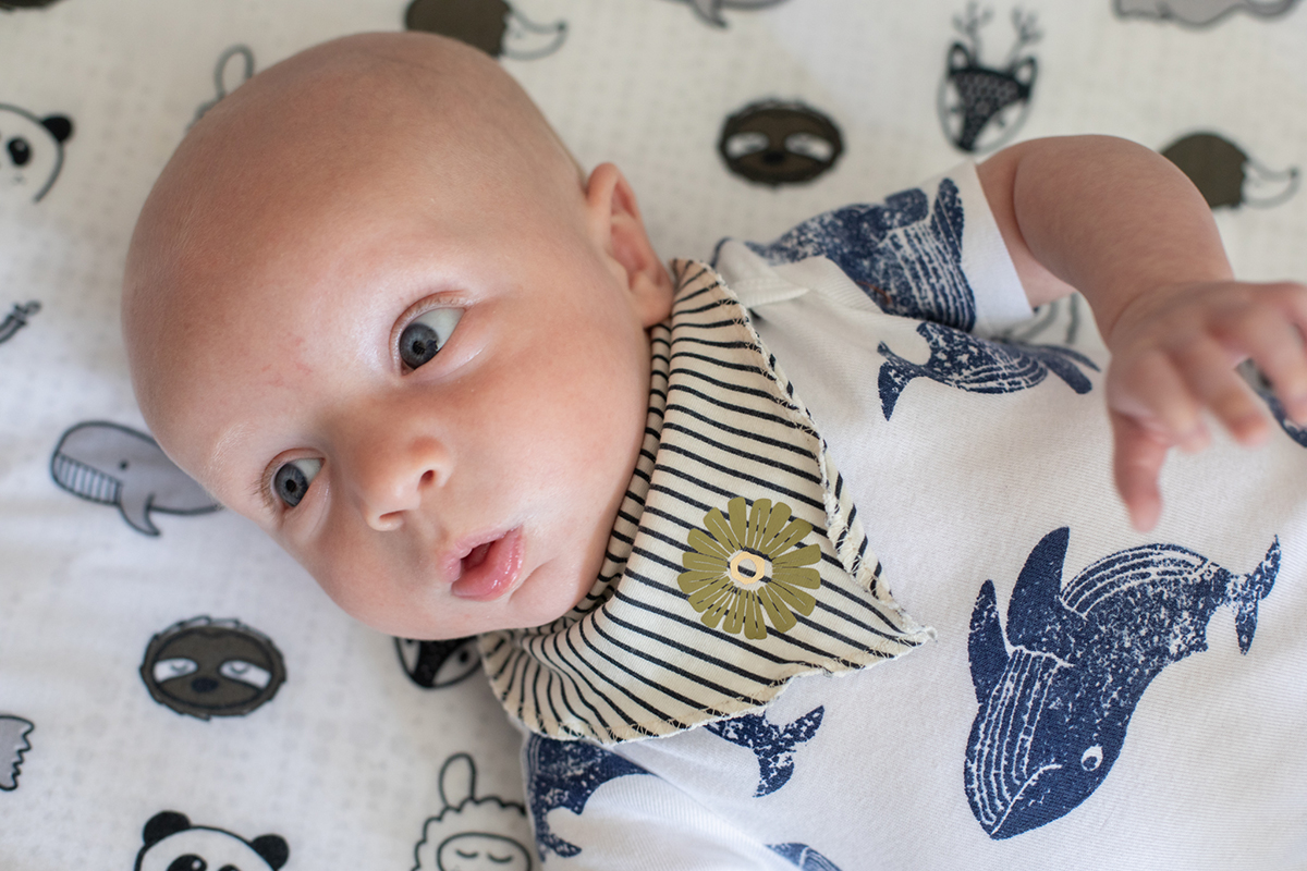 Featured Image for Bandana Baby Bibs (#128256)
